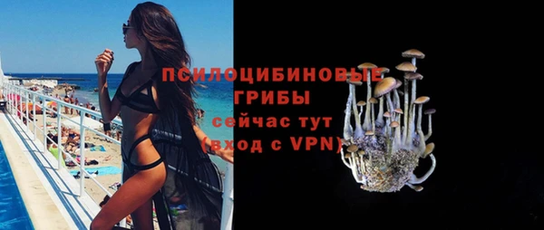каннабис Богданович