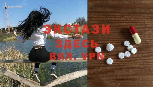 дмт Бородино