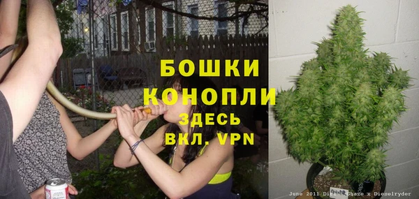 каннабис Богданович