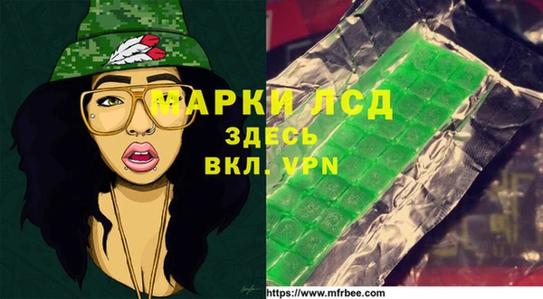 дмт Бородино