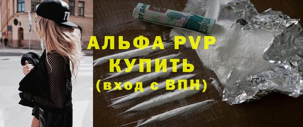 дживик Дубна