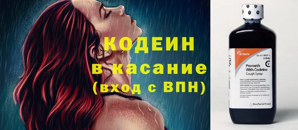 дмт Бородино